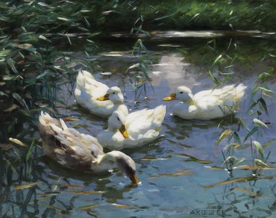Four Ducks in the Pond by Alexander Koester